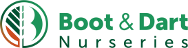 Boot en Dart - Boot & Dart